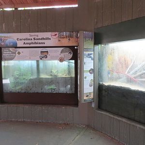 Native Herp Displays