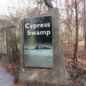 Cypress Swamp Sign