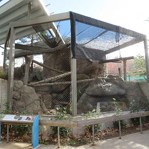 North American Porcupine Exhibit