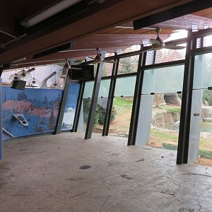 Polar Bear Viewing Window