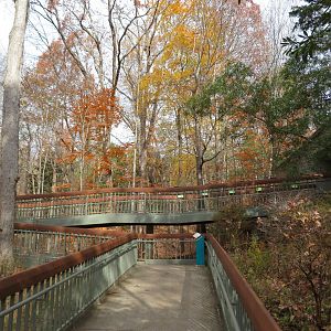 Ramp to Streamside Building 2