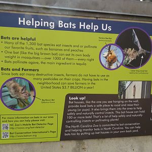 Bat Signage