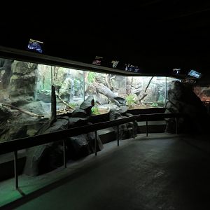 Row of Herp Exhibits