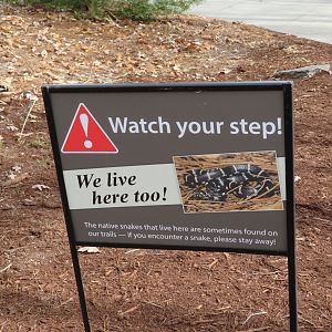 Native Snake Signage