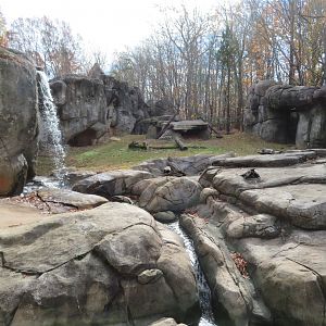 Grizzly Bear Exhibit