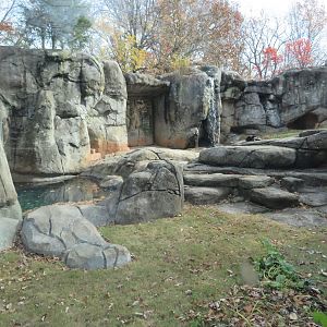 Grizzly Bear Exhibit