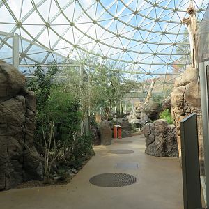 Desert Dome Interior