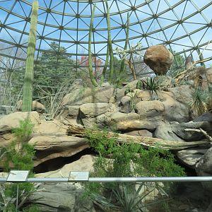 Desert Dome Interior