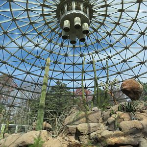 Desert Dome Interior