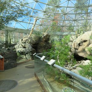 Desert Dome Interior