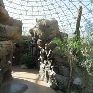 Small Desert Exhibits