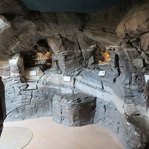 Small Desert Exhibits