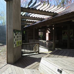 Chimpanzee Viewing Platform