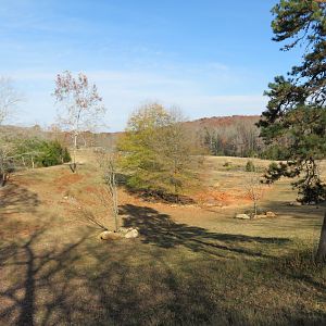 Watani Grasslands Yard