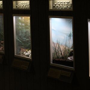 View of Herp Terrariums