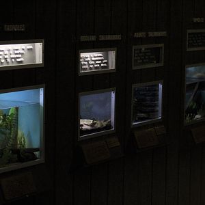 View of Herp Terrariums