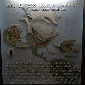 Man Enters North America