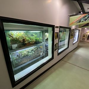 Amphibian Ark 201121