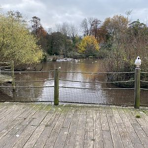 Pelican and waterfowl lake 201121