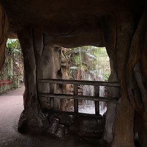 Reptile Tropics 201121