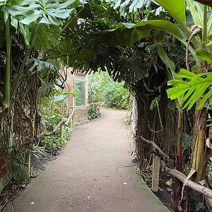 Reptile Tropics 201121