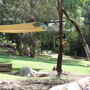Cheetah Enclosure and Jamala Bungalow