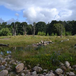 Enclosure for spectacled bear in Givskud Zoo