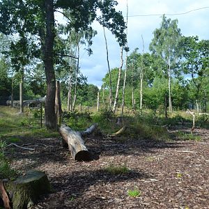 Enclosure for spectacled bear in Givskud Zoo