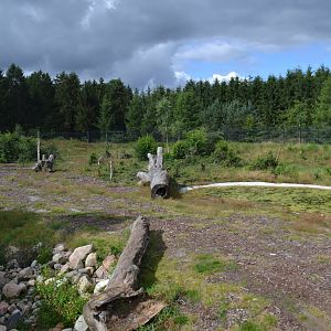Enclosure for spectacled bear in Givskud Zoo