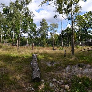 Enclosure for spectacled bear in Givskud Zoo