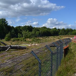 Enclosure for spectacled bear in Givskud Zoo