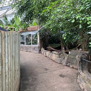 Reptile Tropics 201121