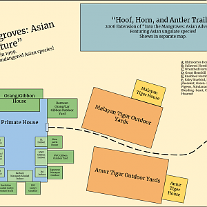 Discovery Hills Zoo - "Into the Mangroves: Asian Adventure"