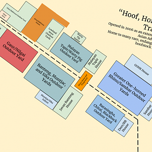 Discovery Hills Zoo - "Hoof, Horn, and Antler Trails"