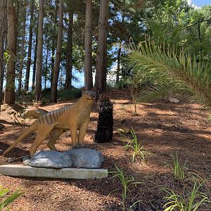 Thylacine Sculpture