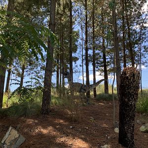 Velociraptor Sculpture