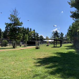 Macropod Walk-through