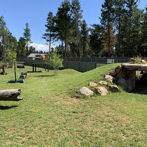 Southern Hairy-nosed Wombat Exhibit