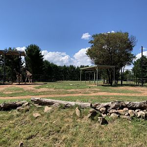 Giraffe and Blackbuck Paddock