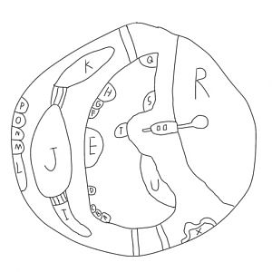 Sands Of Time Aquarium