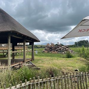Barbary Sheep, Arabian Oryx and Emu Exhibit (Ammotragus lervia, Oryx leucoryx, Dromaius novaehollandiae)