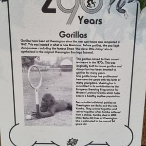 Chessington zoo history 90 years