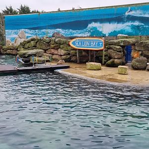 Sealion enclosure