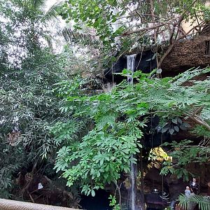 Monkey Island Waterfall