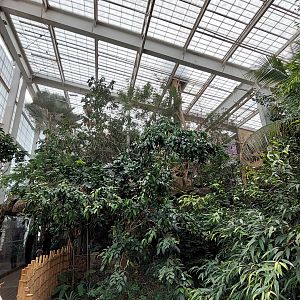 Lek- Cloud Forest Trek Aviary behind Monkey Island