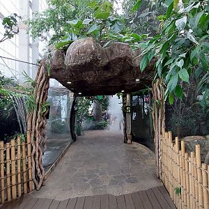 Enterance to Cloud Forest Trek- Rapids