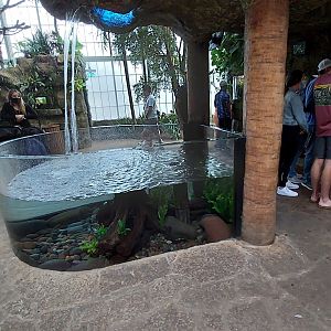 Fish Tank in Cloud Forest Trek