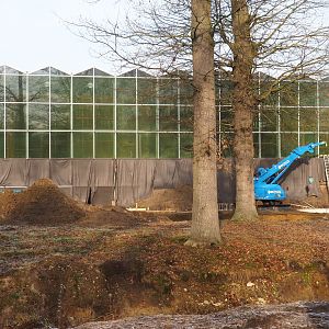 Construction update Orangutan project, 2021-12-22