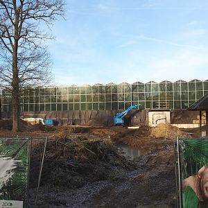 Construction update Orangutan project, 2021-12-22