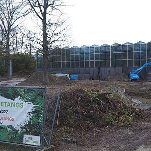 Construction update Orangutan project, 2022-01-02